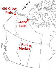 Le but de cette illustration est de montrer la localisation des trois sites d’étude sur l’eau. Le site Old Crow Flats est localisé au Yukon. Le site Cache Lake est situé dans les territoires du Nord-Ouest et le site de Fort Mackay est situé en Alberta.