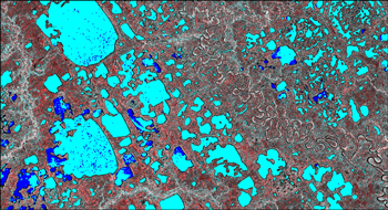 Figure 2. Classification des glaces de lac daprès la rétrodiffusion SAR. La glace est de couleur bleu pâle, tandis que leau libre est en bleu foncé. Image Radarsat-2, fin de mai 2008, PN Vuntut, au Yukon.
