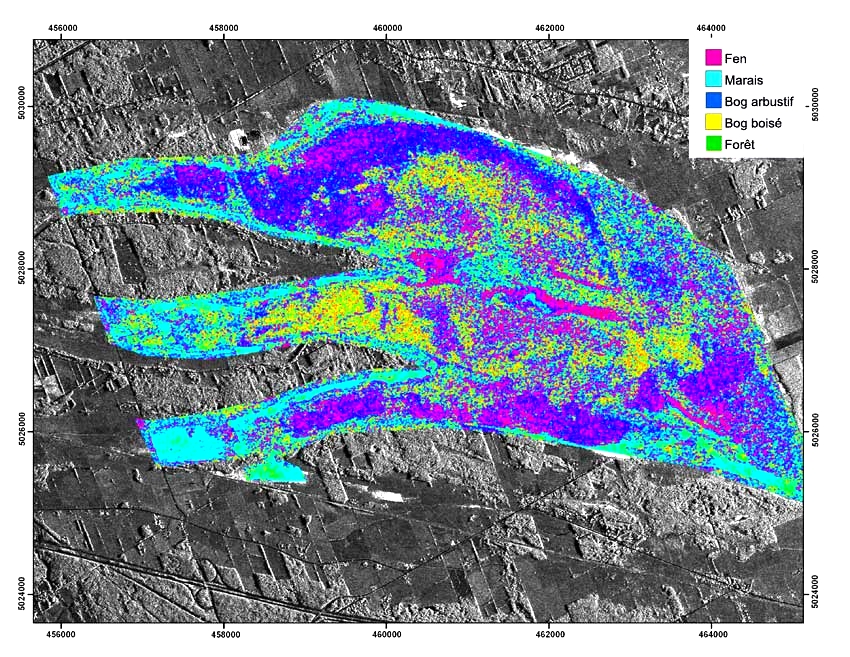 Radarsat-1 (simulée) de la Mer Bleue, localisée à l’est d’Ottawa. Une classification des terres humides dans l’image à l’aide de la phase de diffusion polarimétrique de Touzi a été appliquée. Il en résulte une image où chacune des classes de végétation est cartographiée.