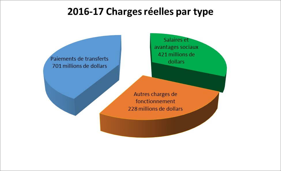 2015-2016 Charges réelles par type (en millions de dollars)