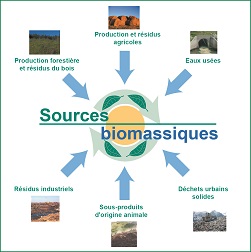 sources de biomasse