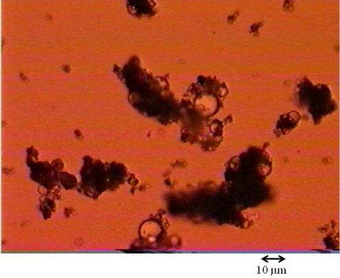 Image prise au microscope des gouttelettes agrégées deau émulsifié et de solides minéraux résultant du traitement de la mousse avec un solvant paraffinique