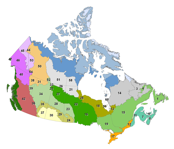Carte à petite échelle illustrant les limites des 60 unités de rapprochement du SNSCPRCF par rapport aux écozones terrestres du Canada