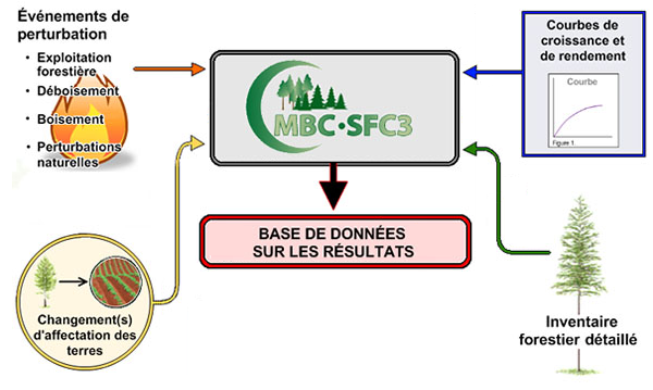 Diagramme du Système national de surveillance, de comptabilisation et de production de rapports concernant le carbone des forêts. Des événements de perturbation, des changements d'affectation des terres, des courbes de croissance et de rendement, et l'inventaire forestier détaillé sont des entrées aux MBC-SFC3, qui a ensuite une sortie vers la base de données des résultats.