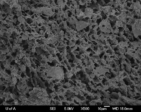 Image par cryo-MEB de résidus fins mûrs après traitement par deux floculants polymers, montrant une structure plus poreuse 