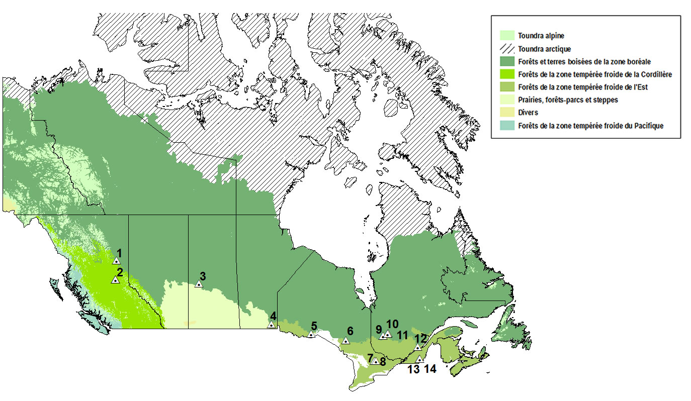 Parcelles d’essai du réseau AshNet partout au Canada, selon la zone de Classification nationale de la végétation du Canada (CNVC). CNVC. 2017. Zones de végétation du Canada. RNCan, SCF, Sault Ste. Marie (Ontario). http://cnvc-cnvc.ca/.  La légende comprend les régions représentant la toundra alpine; la toundra arctique; la forêt boréale et les régions boisées; les forêts de la zone tempérée froide de la Cordillère; les forêts de la zone tempérée froide de l’Est; les prairies, les parcs et les steppes; diverses régions; et les forêts de la zone tempérée froide du Pacifique.