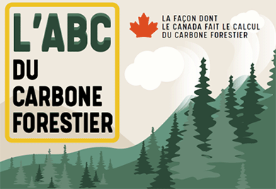 L'ABC du carbone forestier. La façon dont le Canada fait le calcul du forestier