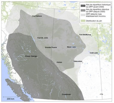 Carte de déplacement du dendroctone du pin ponderosa vers le nord et l’est en Colombie-Britannique et en Alberta; y compris son aire de répartition historique (avant 2000), son aire de répartition élargie (depuis 2000) et l’endroit où les dendroctones ont été détectés, mais inconnu s’il est établi.