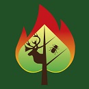 Image montrant la forme d'une besoche à l'intérieur de laquelle figurent un arbre, une feuille et la silhouette d'un caribou et d'un insecte, l'ensemble se trouvant entouré d'une large flamme.