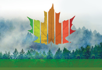 Rapport sur l’état des forêts au Canada