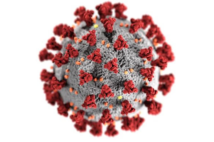 Illustration du nouveau coronavirus, appelé coronavirus 2 du syndrome respiratoire aigu sévère (SRAS-CoV-2)
