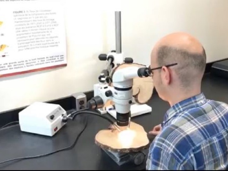 Martin au microscope