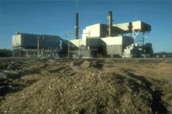 Usine de production de biomasse