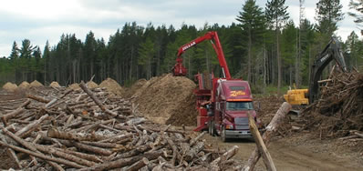 Opération de broyage après la récolte de biomasse