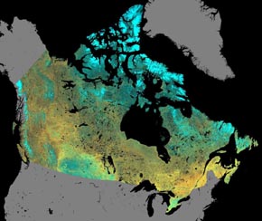 Mosaïque d'images NOAA couvrant le Canada et illustrant la couverture des Terres