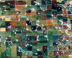 Images Landsat TM et RSO pour l'identification des récoltes