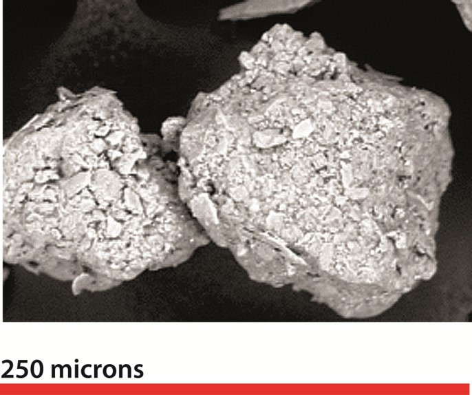Image par MEB de sables bitumineux dont le solvant a été extrait