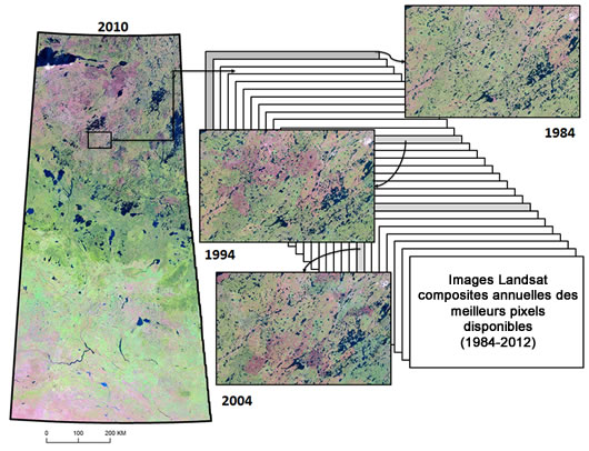 Images Landsat composites annuelles des meilleurs pixels disponibles (1984-2012)