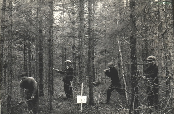 Quatre étudiants travaillant dans la Forêt expérimentale Acadia vers 1930.