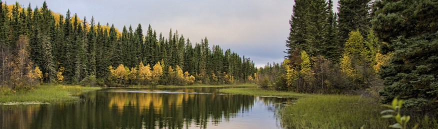 La rivière Waskesiu, Park national du Canada de Prince Albert
