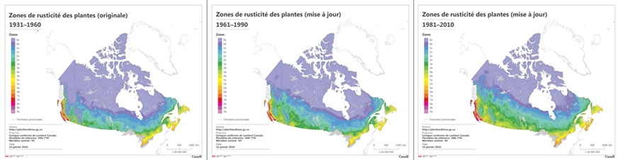 Trois cartes montrant les zones de rusticité des plantes du Canada des périodes : 1931 à 1960; 1961 à 1990; et 1981 à 2010.